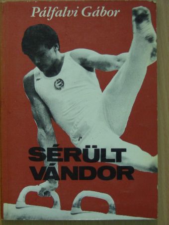 Pálfalvi Gábor - Sérült vándor [antikvár]