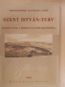 Ács Margit - Szent István-terv [antikvár]
