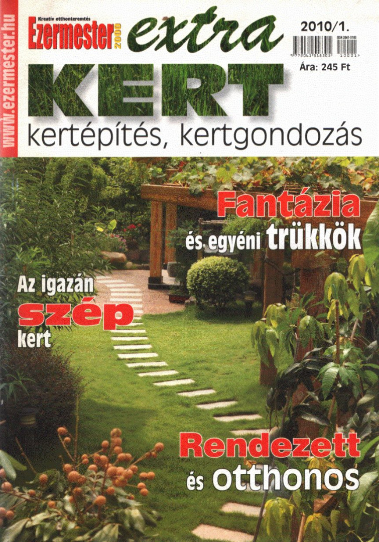 Perényi József - Ezermester Extra 2010/1. [antikvár]