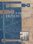 Bácskai Endréné - A régi és az új Erzsébet híd [antikvár]