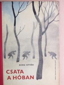 Kern István - Csata a hóban [antikvár]