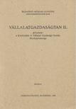 Dr. Borotvás Elemér - Vállalatgazdaságtan II. [antikvár]