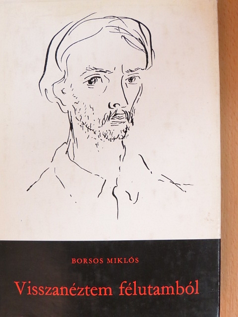 Borsos Miklós - Visszanéztem félutamból [antikvár]