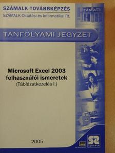 Molnár Mátyás - Microsoft Excel 2003 felhasználói ismeretek [antikvár]