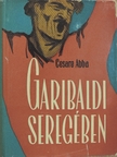 Cesare Abba - Garibaldi seregében [antikvár]