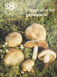 Dr. Rimóczi Imre - 88 színes oldal a leggyakoribb gombákról [antikvár]