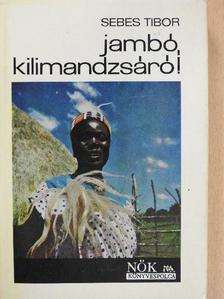 Sebes Tibor - Jambó, Kilimandzsáró! [antikvár]