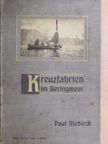 Paul Niedieck - Kreuzfahrten im Beringmeer (gótbetűs) [antikvár]