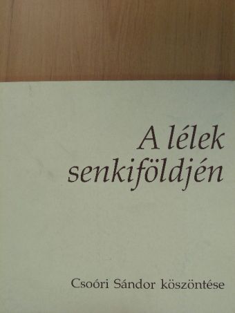 Ágh István - A lélek senkiföldjén [antikvár]