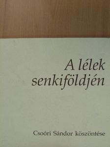 Ágh István - A lélek senkiföldjén [antikvár]