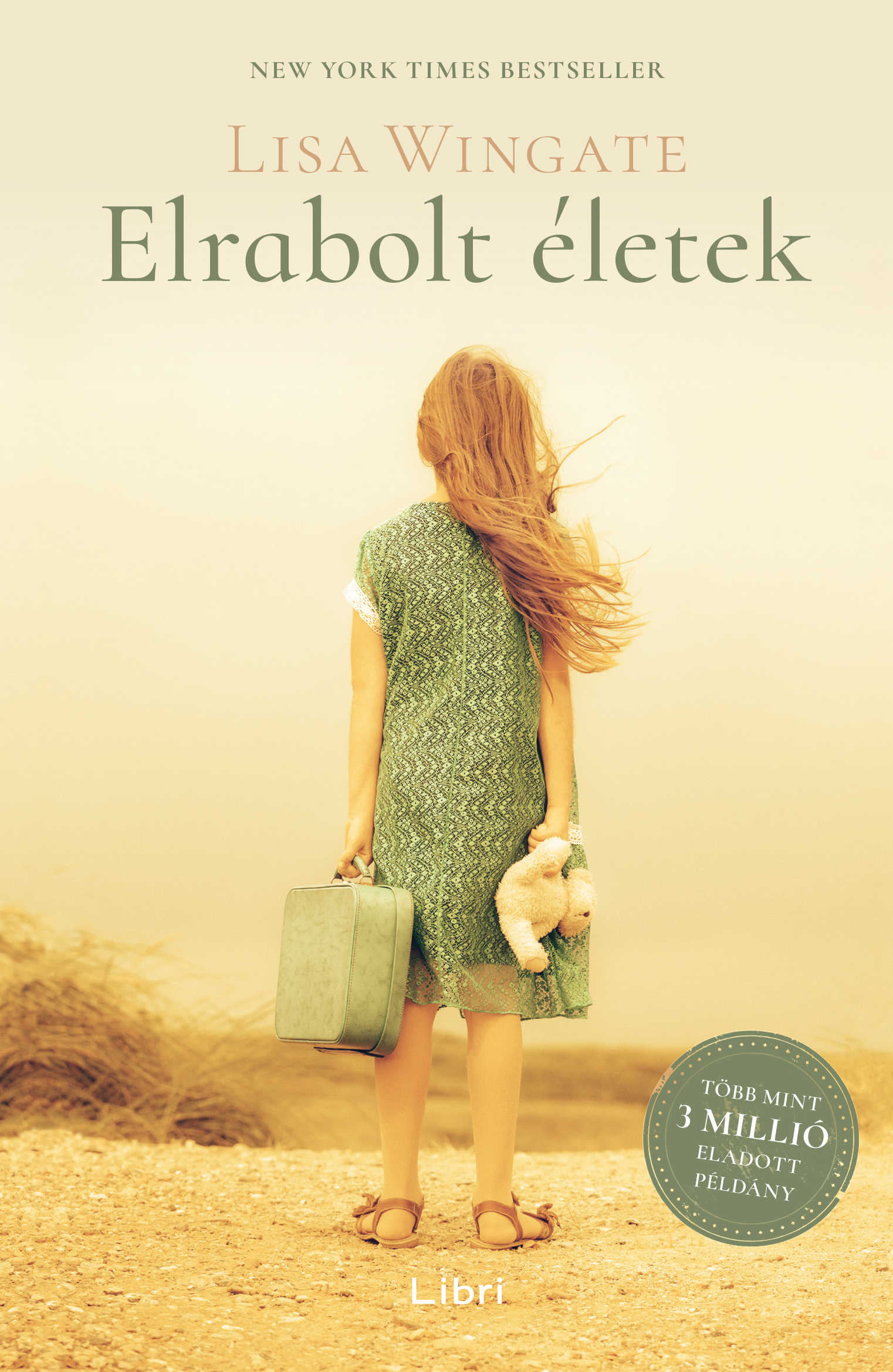 Lisa Wingate - Elrabolt életek