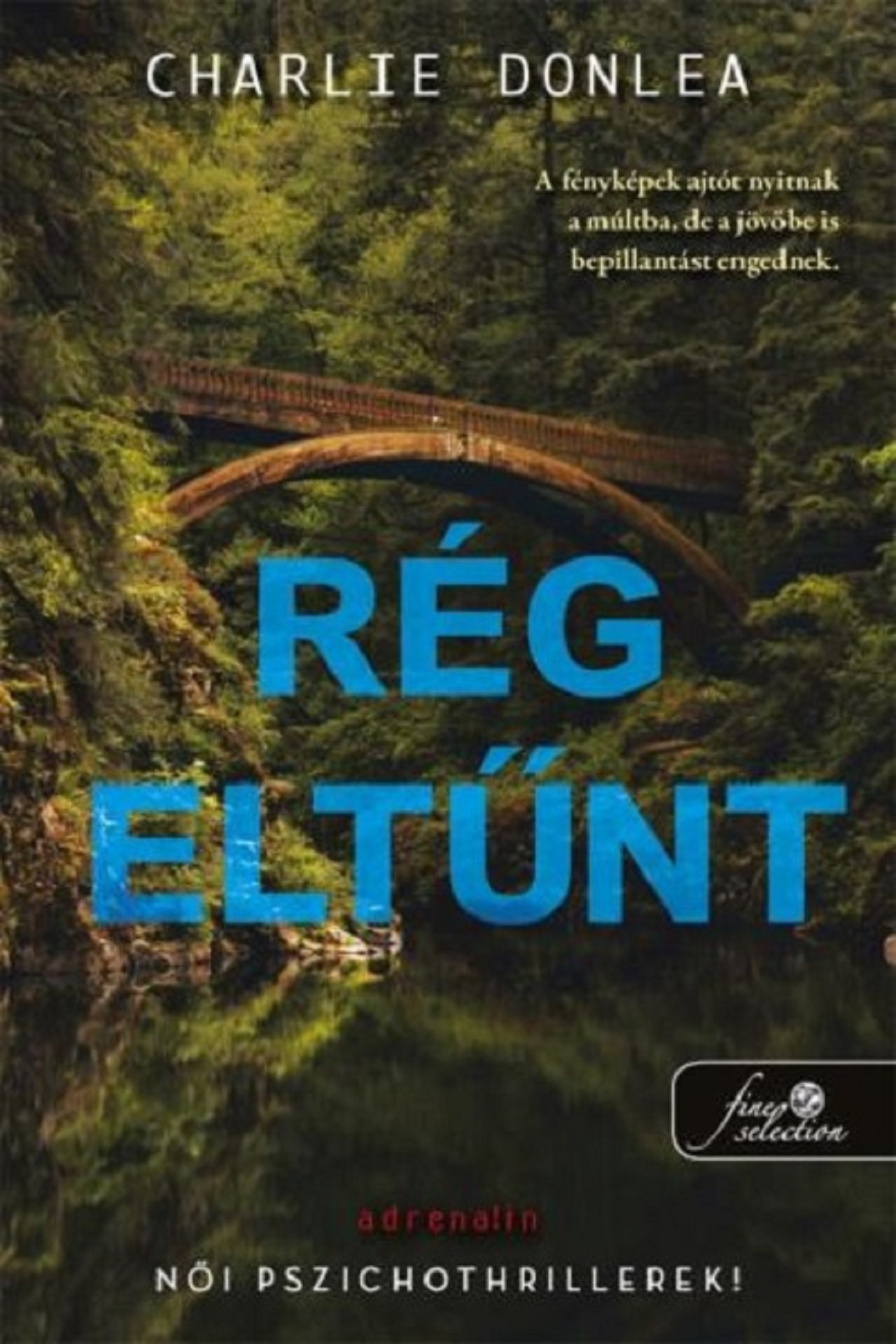 Charlie Donlea - Rég eltűnt