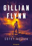 Gillian Flynn - Sötét helyek [eKönyv: epub, mobi]