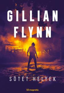 Gillian Flynn - Sötét helyek [eKönyv: epub, mobi]