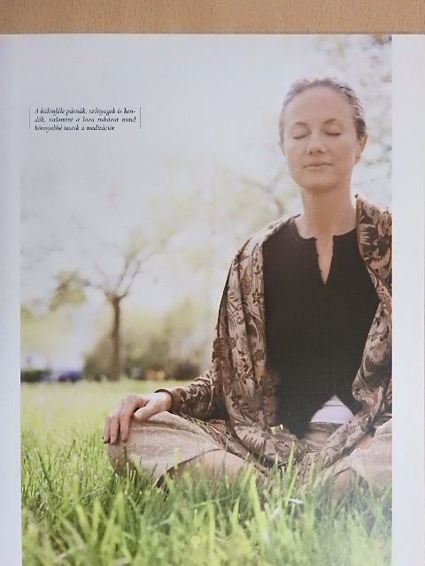 Madonna Gauding - Meditáció [antikvár]