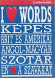 Szendro Borbála - Brit és amerikai angol-magyar módszertani tematikus képes szótár [antikvár]