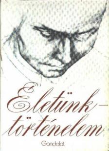 Bajor Nagy Ernő - Életünk - történelem [antikvár]