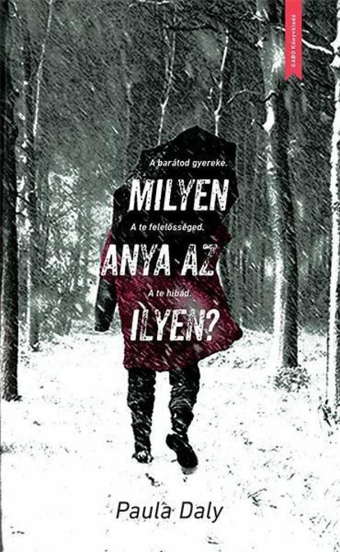 Paula Daly - Milyen anya az ilyen? [antikvár]
