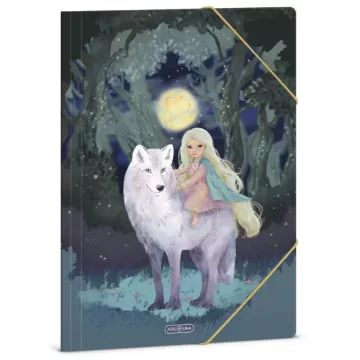 Northern Lights: Gumis mappa - A/4-es