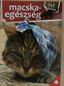 Macskaegészség [antikvár]