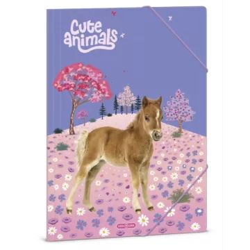 Cute Animals: Horse gumis mappa - A/4-es