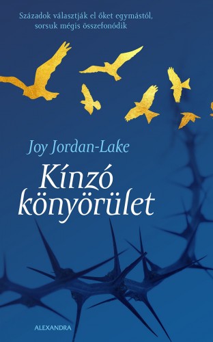 Joy Jordan-Lake - Kinzó könyörület [eKönyv: epub, mobi]