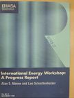 Alan S. Manne - The International Energy Workshop November 1988 [antikvár]