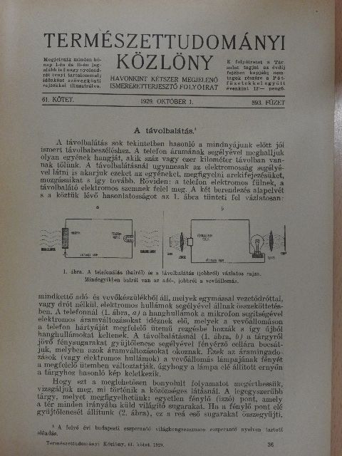 Dr. Éhik Gyula - Természettudományi Közlöny 1929. október 1. [antikvár]