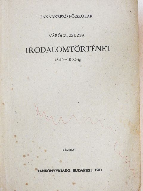 Váróczi Zsuzsa - Irodalomtörténet [antikvár]