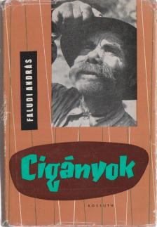 Faludi András - Cigányok [antikvár]