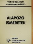 Antal Árpád - Alapozó ismeretek [antikvár]