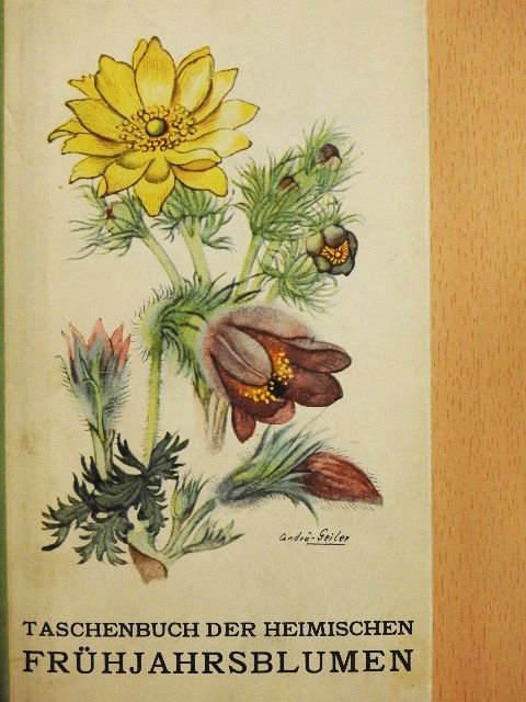 Fritz Koch - Frühjahrsblumen [antikvár]