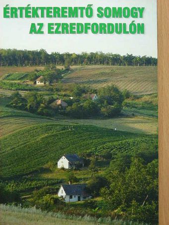 Ábelné Kotánszky Gyöngyi - Értékteremtő Somogy az ezredfordulón [antikvár]