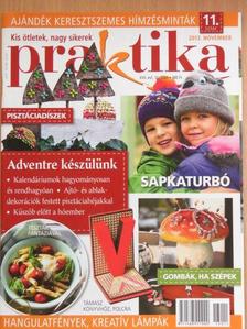 Praktika 2013. november [antikvár]