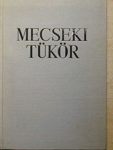 Andik István - Mecseki tükör [antikvár]