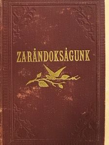 Bernhard Zsigmond - Zarándokságunk [antikvár]