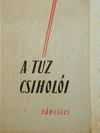Ady Endre - A tűz csiholói [antikvár]