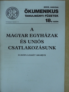 Dr. Hafenscher Károly - A magyar egyházak és uniós csatlakozásunk [antikvár]