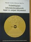 Hunyady Lászlóné - Számítógépes információrendszerek input és output folyamatai [antikvár]