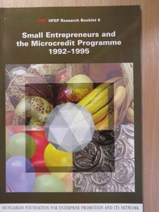 Ágnes Vajda - Small Entrepreneurs and the Microcredit Programme 1992-1995 [antikvár]