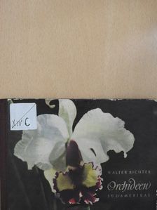 Walter Richter - Orchideen [antikvár]