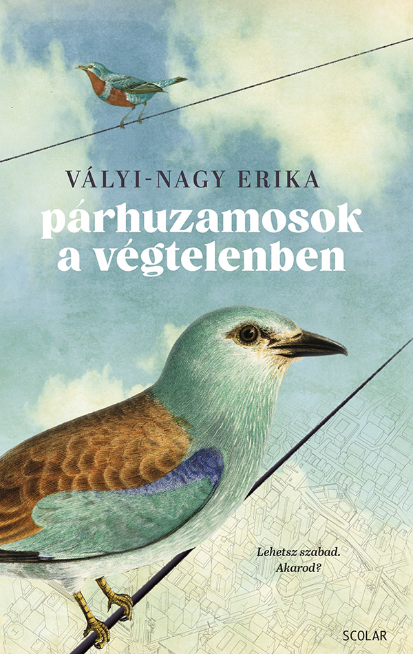 Vályi-Nagy Erika - Párhuzamosok a végtelenben