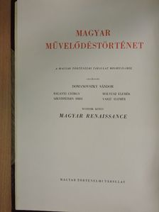 Balogh János - Magyar művelődéstörténet 2. [antikvár]