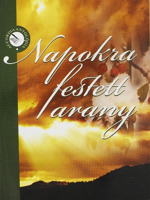 Balász Tibor - Napokra festett arany [antikvár]
