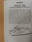 234 olcsó étel takarékos háziasszonyoknak [antikvár]