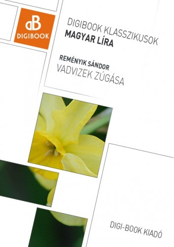 Reményik Sándor - Vadvizek zúgása [eKönyv: epub, mobi]