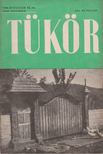 RÉVAY JÓZSEF - Tükör VIII. évfolyam 11. sz. [antikvár]