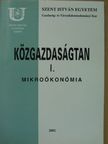 Dr. Farkasné Dr. Fekete Mária - Közgazdaságtan I. [antikvár]