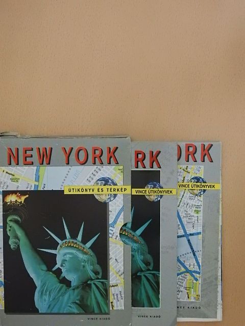 Michael Leech - New York [antikvár]