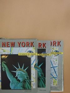 Michael Leech - New York [antikvár]